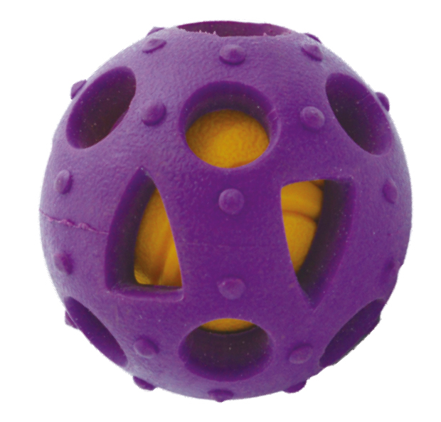 Competitive Price TPR Pet Toy